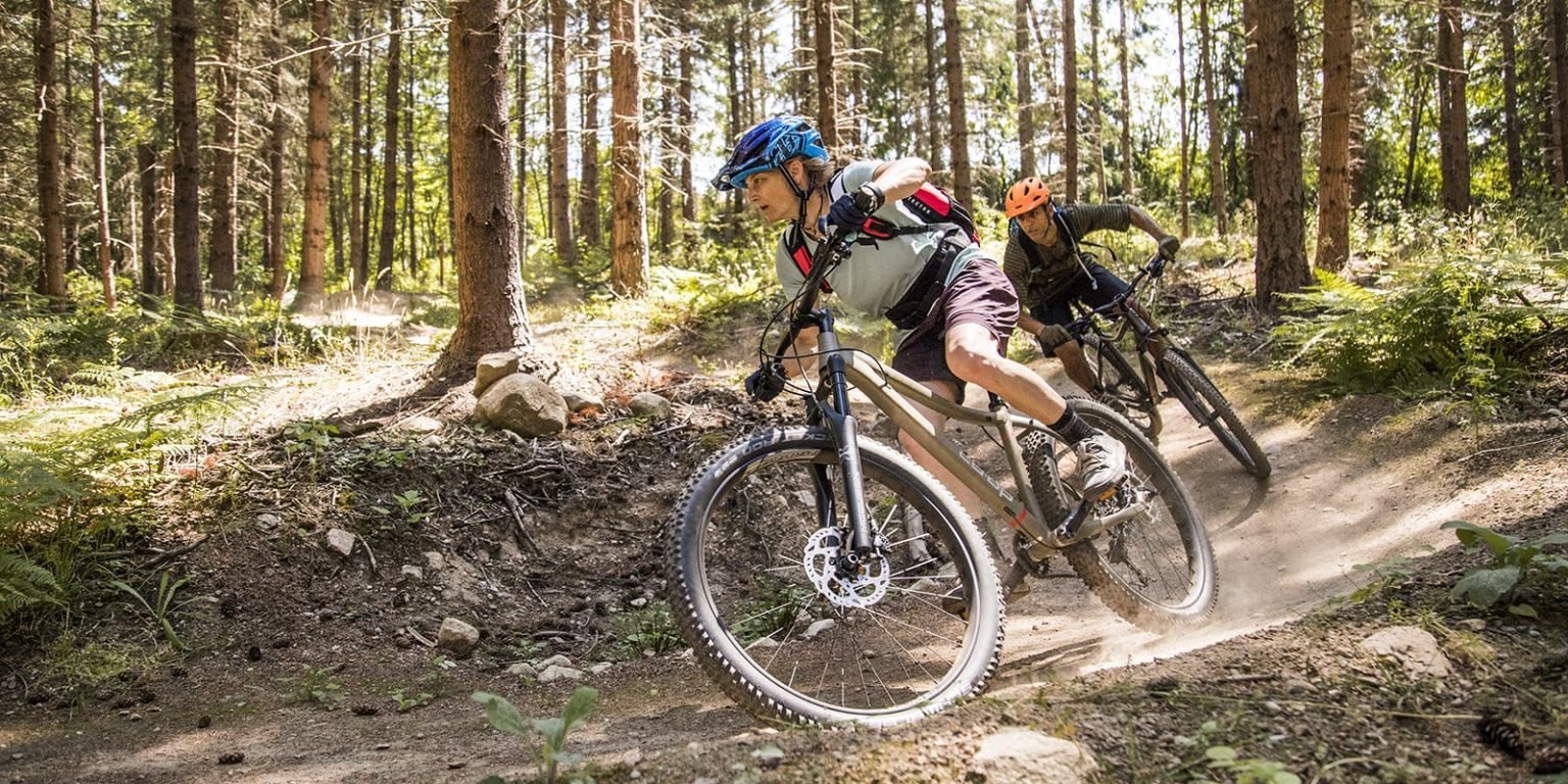 best mountain bikes for beginners adults